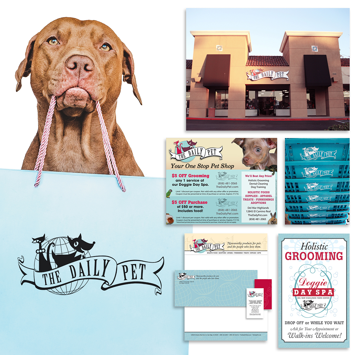 Samples_Layout Daily Pet_web1200